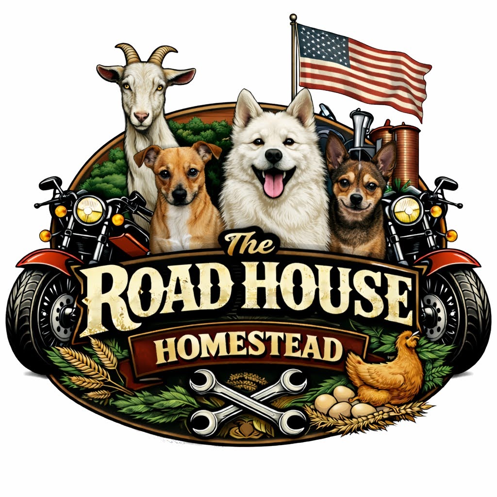 file_000000005fe071fda0009bebfbdfecac-1